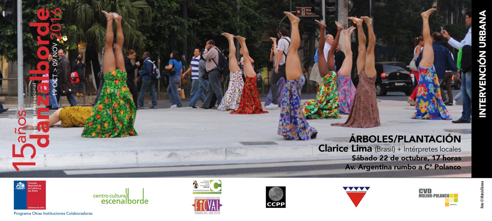 Banner Intervencion 22 OCT_árboles