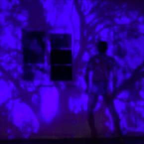 Miguel Angel Soto Echeverría - La Carne y el Encierro