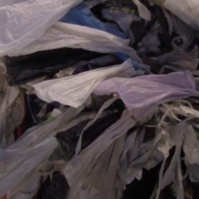 Felipe Allende Arévalo - Hechos Bolsa