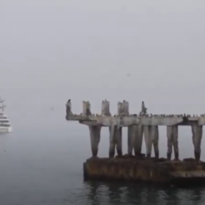 Mario Núñez Núñez - #Quedatetusincasa