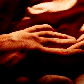 Cooperativa La Furia de los Santos y Marco Zambrano - PROYECTO METAMORFOSIS