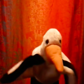 Alejandra Hernández Navarrete - Gaviotas