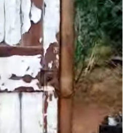 Carina Victoria Aspillaga Bórquez - Cosecha: confidencias de una punga soñadora