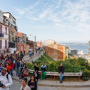 Un organismo/ Danzalborde en Cerro Cordillera / Foto Jorge Villa Moreno