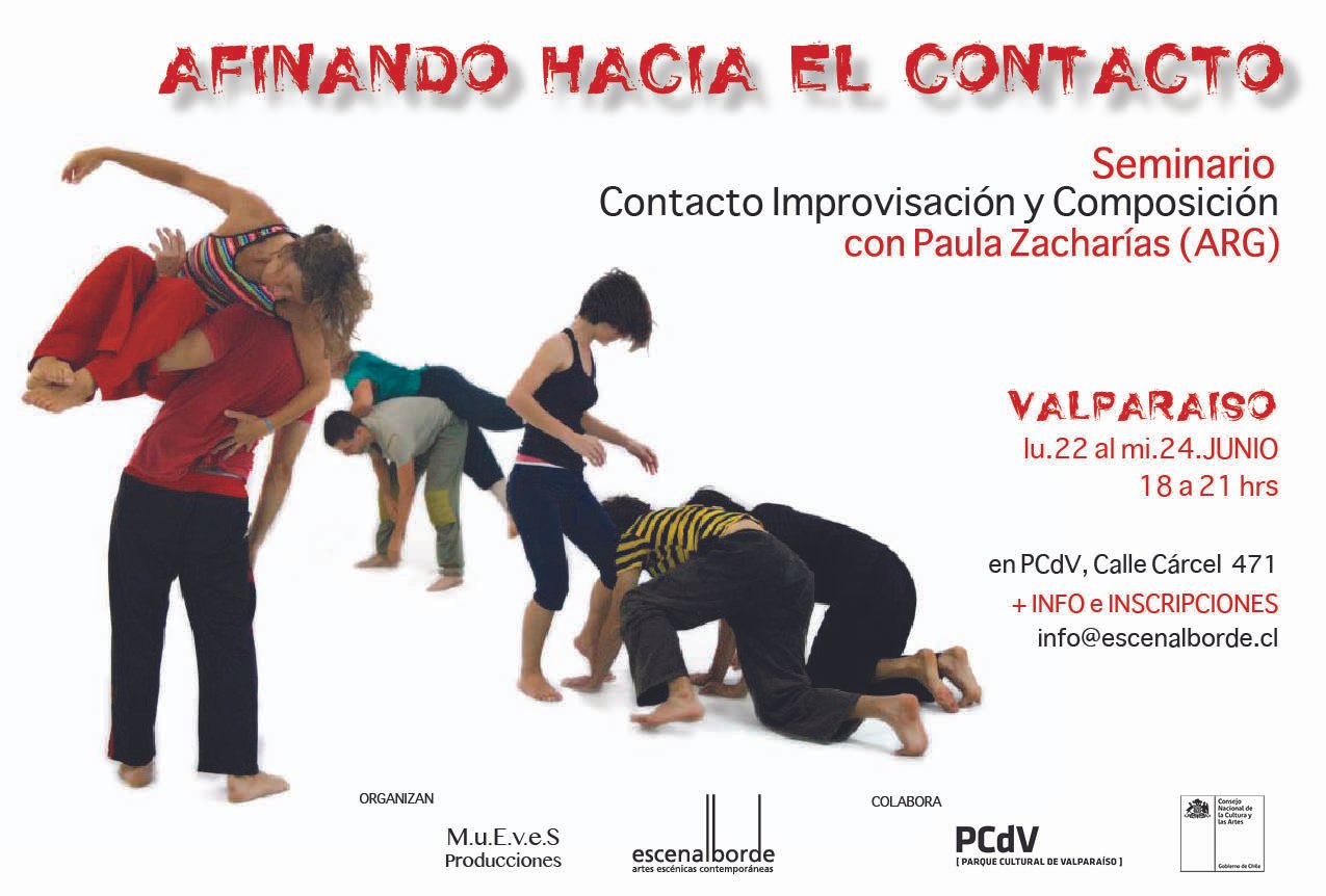Flyer Seminario Paula Zacharias VALPO