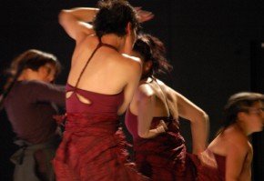 Nuevas funciones de ESPECIE SOLA